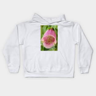 Digitalis × mertonensis  AGM  Strawberry foxglove Kids Hoodie